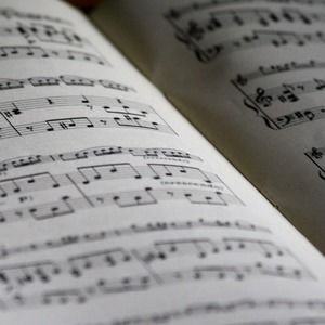 Meet your Posher, Karis